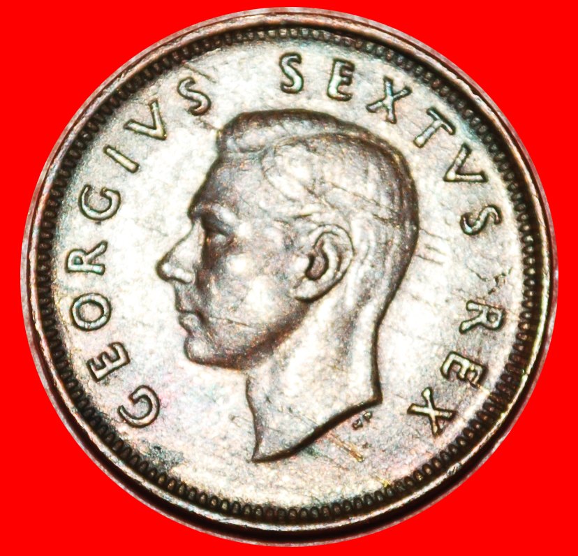  ~ VÖGEL (1950-1952): SÜDAFRIKA ★ 1/4 PENNY 1952! GEORG VI. (1937-1952)★OHNE VORBEHALT!   