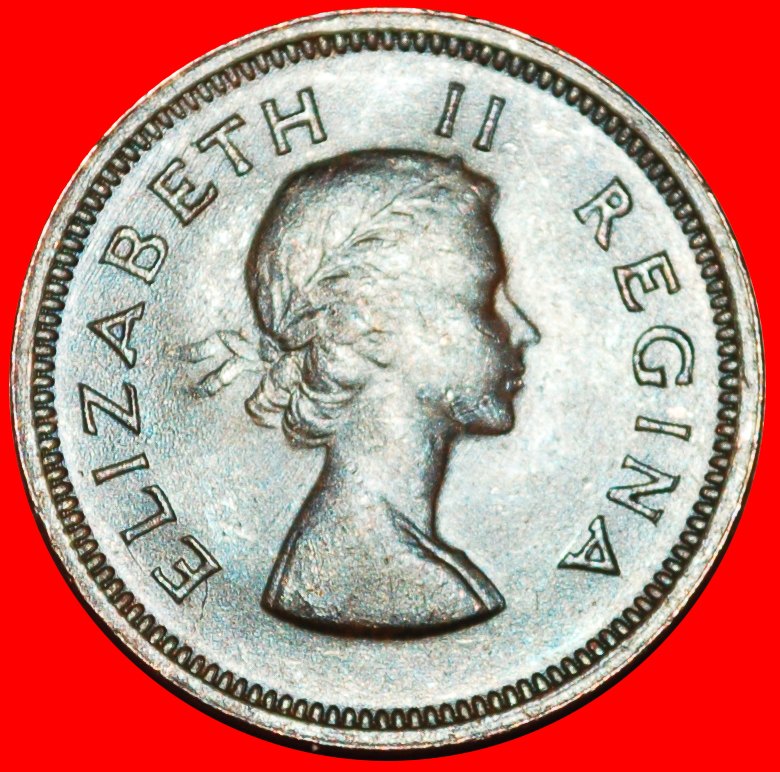  ~ BIRDS (1953-1960): SOUTH AFRICA ★ 1/4 PENNY 1953! ELIZABETH II (1953-2022)★LOW START★NO RESERVE!   