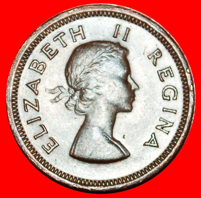  ~ BIRDS (1953-1960): SOUTH AFRICA ★ 1/4 PENNY 1959! ELIZABETH II (1953-2022)★LOW START★NO RESERVE!   