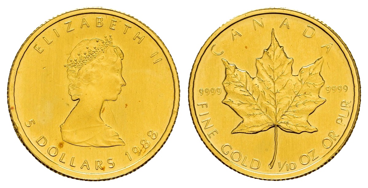 PEUS 8884 Kanada 3,11 g Feingold. Maple Leaf 5 Dollars GOLD Maple Leaf 1/10 Unze 1988 Kl. Randfehler, fast Stempelglanz