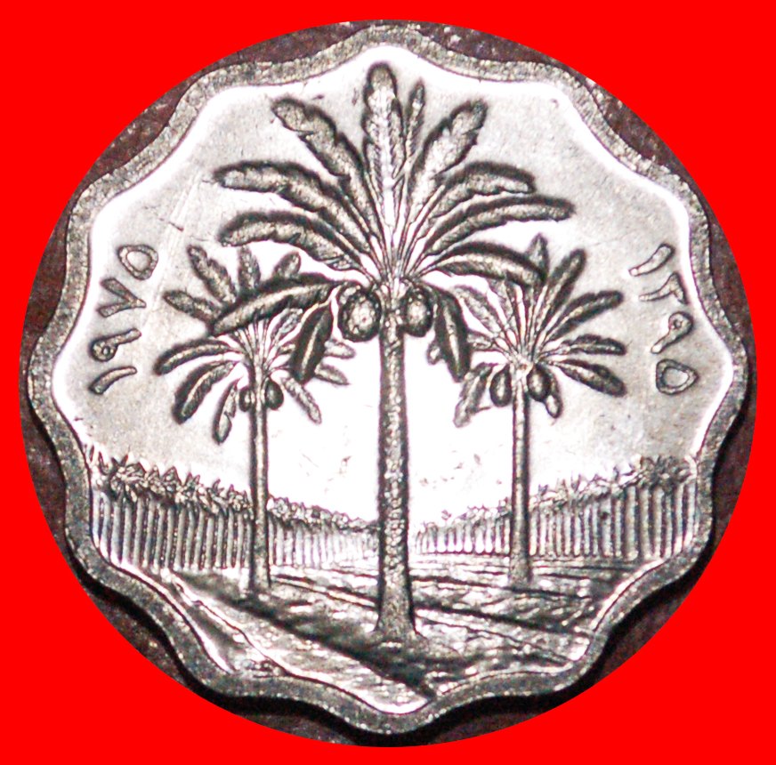  * GREAT BRITAIN (1971-1981): IRAQ ★ 5 FILS 1395 1975 PALM TREES MINT LUSTRE!★LOW START ★ NO RESERVE!   