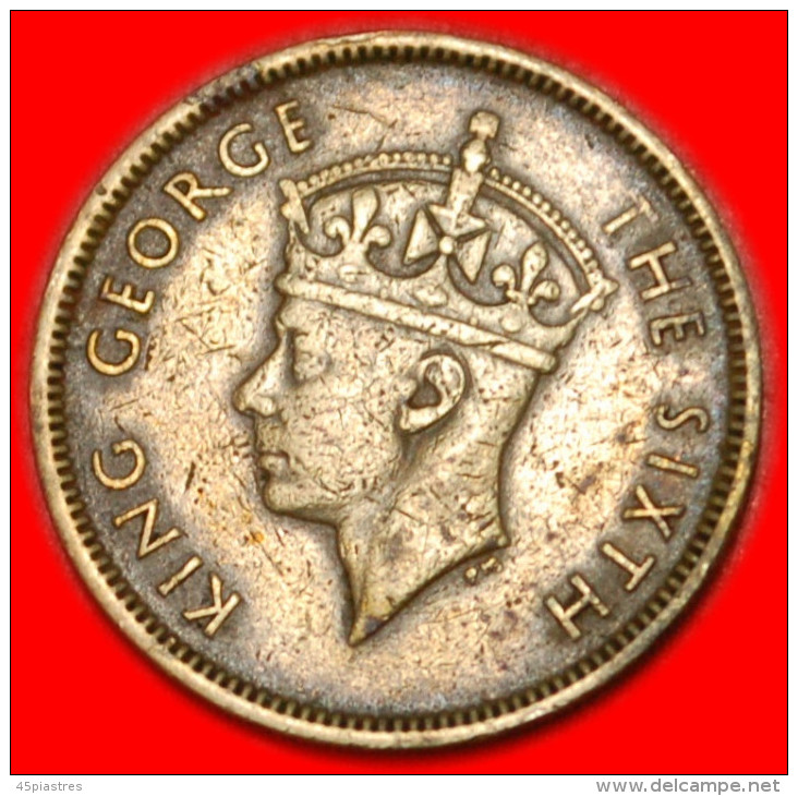  * without IND. IMP.(1948-1951)★HONG KONG★10 CENTS 1949★GEORGE VI (1937-1952)★LOW START ★ NO RESERVE!   