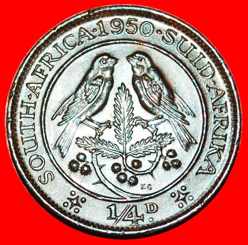 ~ 2 VERKAUFT VÖGEL (1948-1950): SÜDAFRIKA ★ 1/4 PENNY 1950! GEORG VI. (1937-1952)★OHNE VORBEHALT!