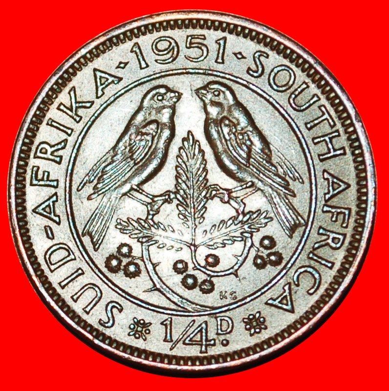  ~ BIRDS (1951-1952): SOUTH AFRICA ★ 1/4 PENNY 1951! GEORGE VI (1937-1952)★LOW START ★ NO RESERVE!   