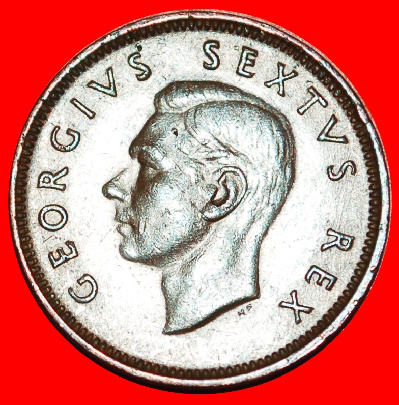  ~ VÖGEL (1951-1952): SÜDAFRIKA ★ 1/4 PENNY 1951! GEORG VI. (1937-1952)★OHNE VORBEHALT!   