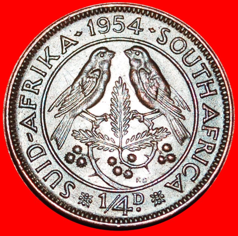  ~ VÖGEL (1953-1960): SÜDAFRIKA ★ 1/4 PENNY 1954! ELISABETH II. (1953-2022)★OHNE VORBEHALT!   