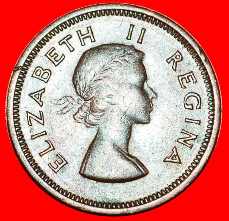  ~ VÖGEL (1953-1960): SÜDAFRIKA ★ 1/4 PENNY 1954! ELISABETH II. (1953-2022)★OHNE VORBEHALT!   