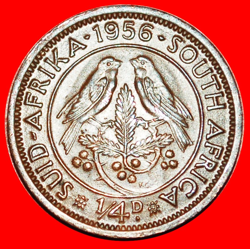  ~ VÖGEL (1953-1960): SÜDAFRIKA ★ 1/4 PENNY 1956! ELISABETH II. (1953-2022)★OHNE VORBEHALT!   