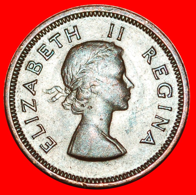  ~ VÖGEL (1953-1960): SÜDAFRIKA ★ 1/4 PENNY 1956! ELISABETH II. (1953-2022)★OHNE VORBEHALT!   