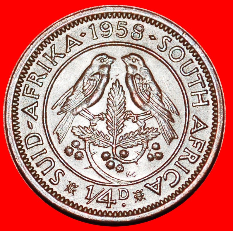 ~ VÖGEL (1953-1960): SÜDAFRIKA ★ 1/4 PENNY 1958! ELISABETH II. (1953-2022)★OHNE VORBEHALT!