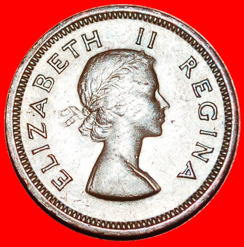  ~ VÖGEL (1953-1960): SÜDAFRIKA ★ 1/4 PENNY 1958! ELISABETH II. (1953-2022)★OHNE VORBEHALT!   