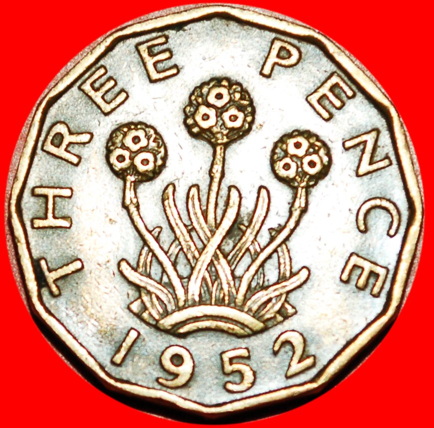  * SPANNUNGS PFLANZE: GROSSBRITANNIEN ★ 3 PENCE 1952! GEORG VI. (1937-1952) ★OHNE VORBEHALT!   