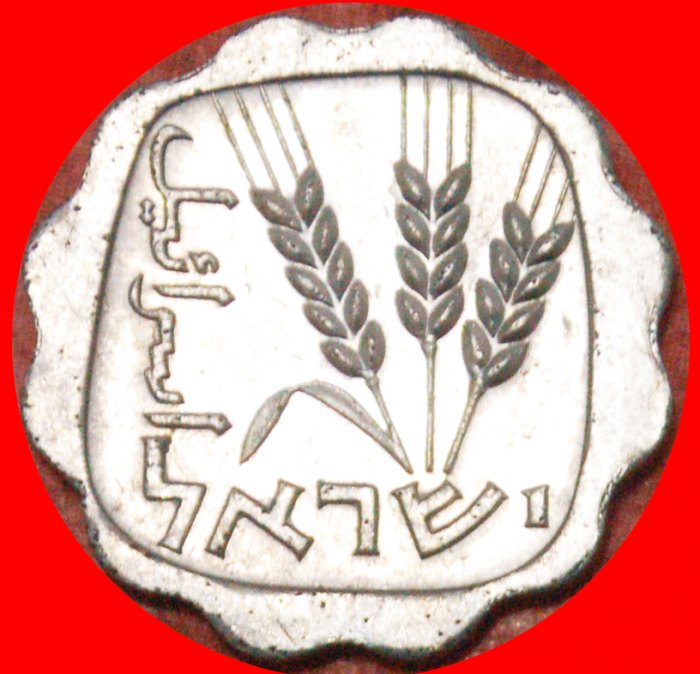  * BARLEY: PALESTINE (israel) ★ 1 AGOROT 5724 (1964)! LOW START ★ NO RESERVE!   