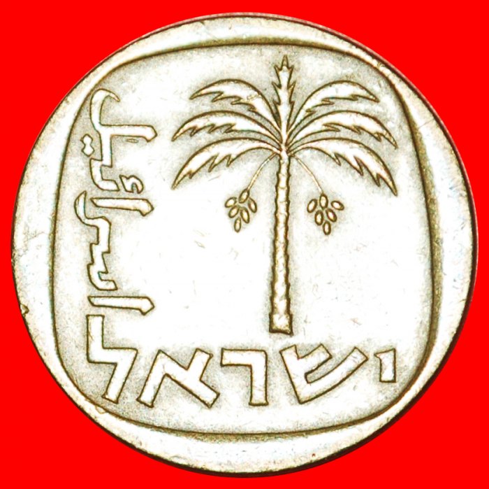 * DATEPALMTREE: PALESTINE (israel) ★ 10 AGOROT 5724 (1964)! ★LOW START ★ NO RESERVE!