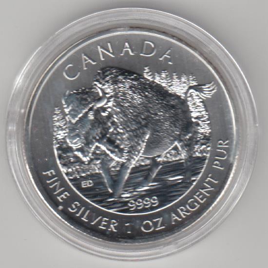  Kanada, Wildlife, Bison 2013, 1 unze oz Silber   