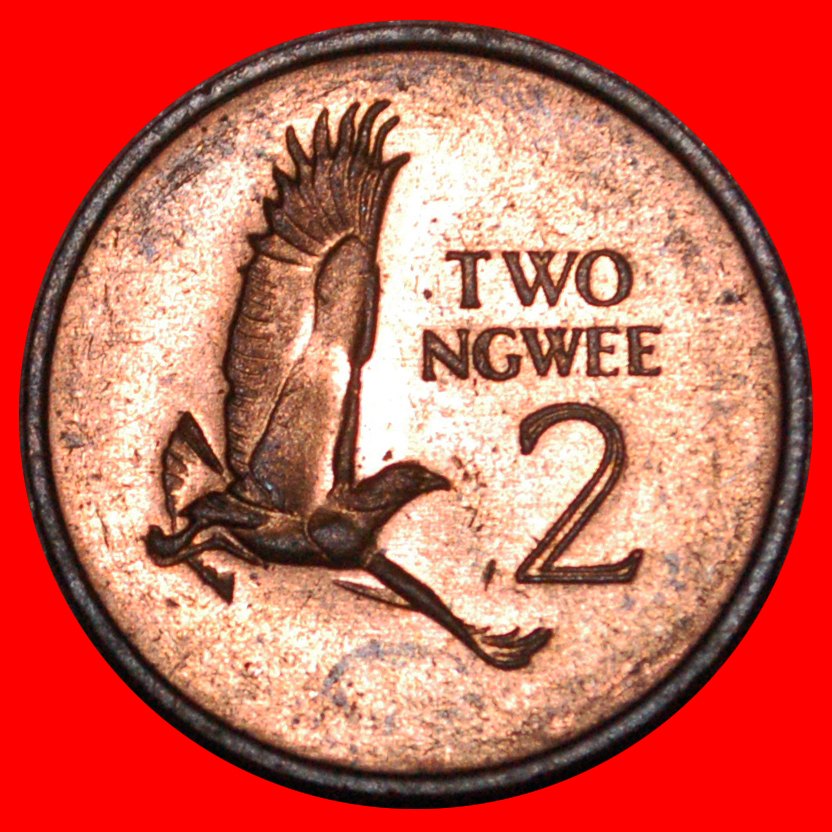  * GREAT BRITAIN (1982-1983): ZAMBIA ★ 2 NGWEE 1983 UNC MINT LUSTRE! ★LOW START ★ NO RESERVE!   