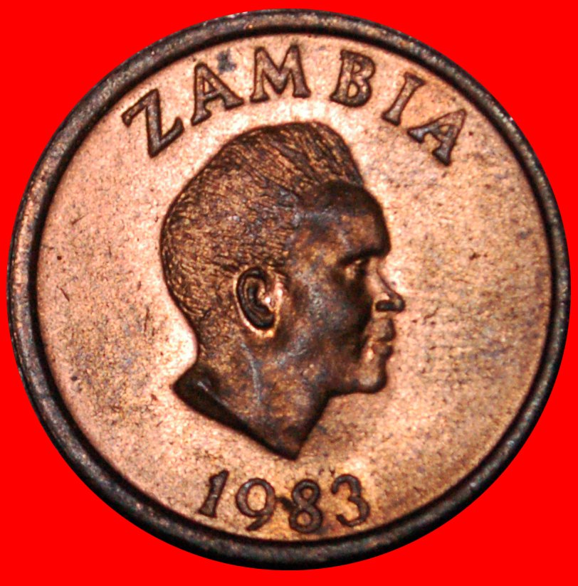  * GREAT BRITAIN (1982-1983): ZAMBIA ★ 2 NGWEE 1983 UNC MINT LUSTRE! ★LOW START ★ NO RESERVE!   