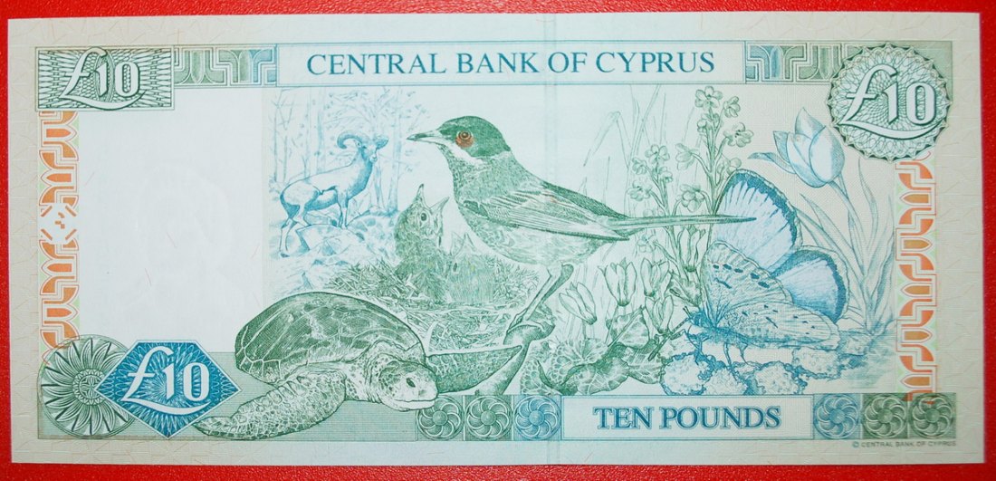  * PLANTS AND RARE ANIMALS: CYPRUS★ 10 POUNDS 2005 UNC CRISP! RARE! LOW START ★ NO RESERVE!   