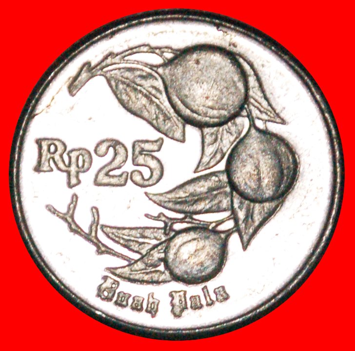  * NUTMEG (1991-1996): INDONESIA ★ 25 RUPIAH 1992 MINT LUSTRE! LOW START ★ NO RESERVE!   