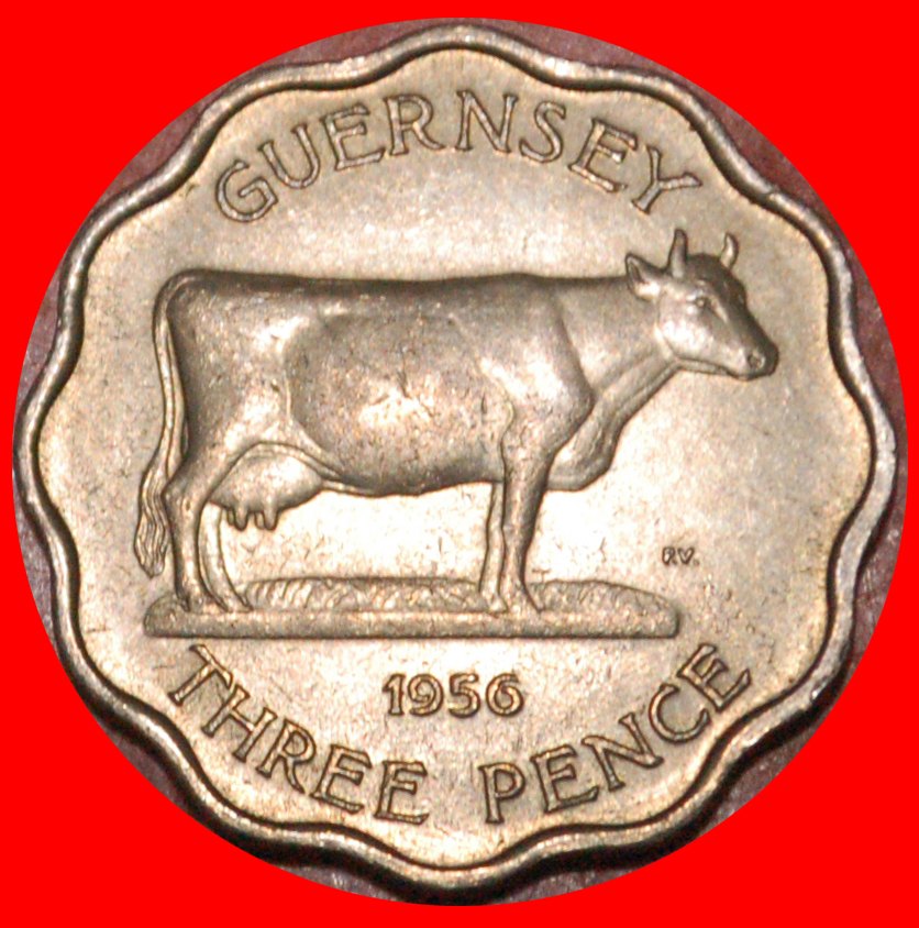  * GROSSBRITANNIEN (1956-1959): GUERNSEY★3 PENCE 1956 KUH! ELISABETH II. (1953-2022)★ OHNE VORBEHALT!   