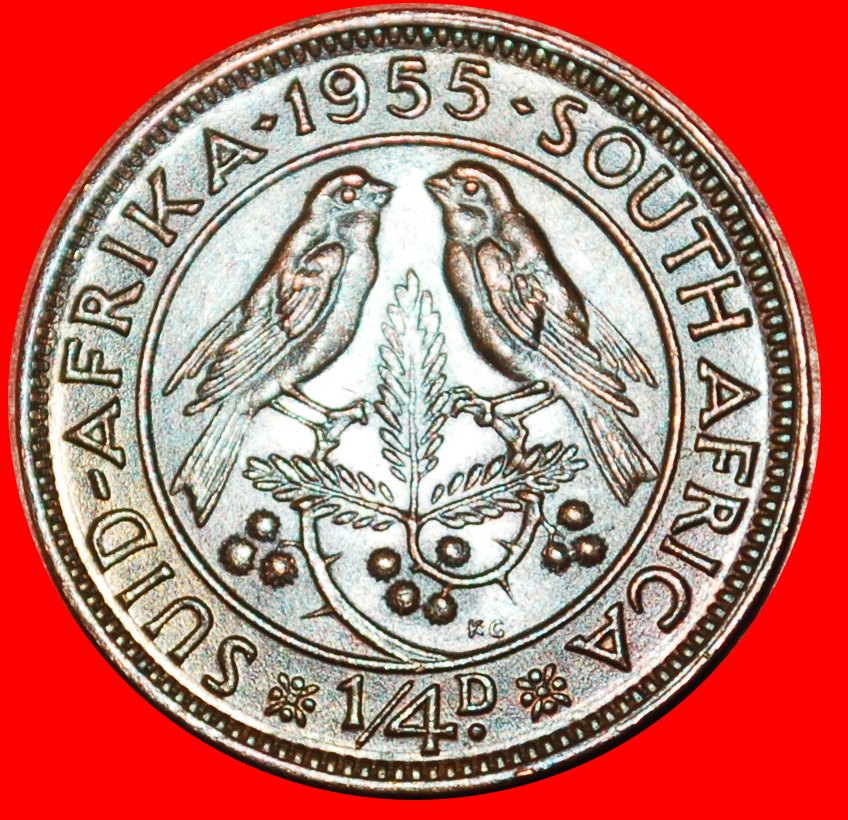  ~ VÖGEL (1953-1960): SÜDAFRIKA ★ 1/4 PENNY 1955! ELISABETH II. (1953-2022)★OHNE VORBEHALT!   