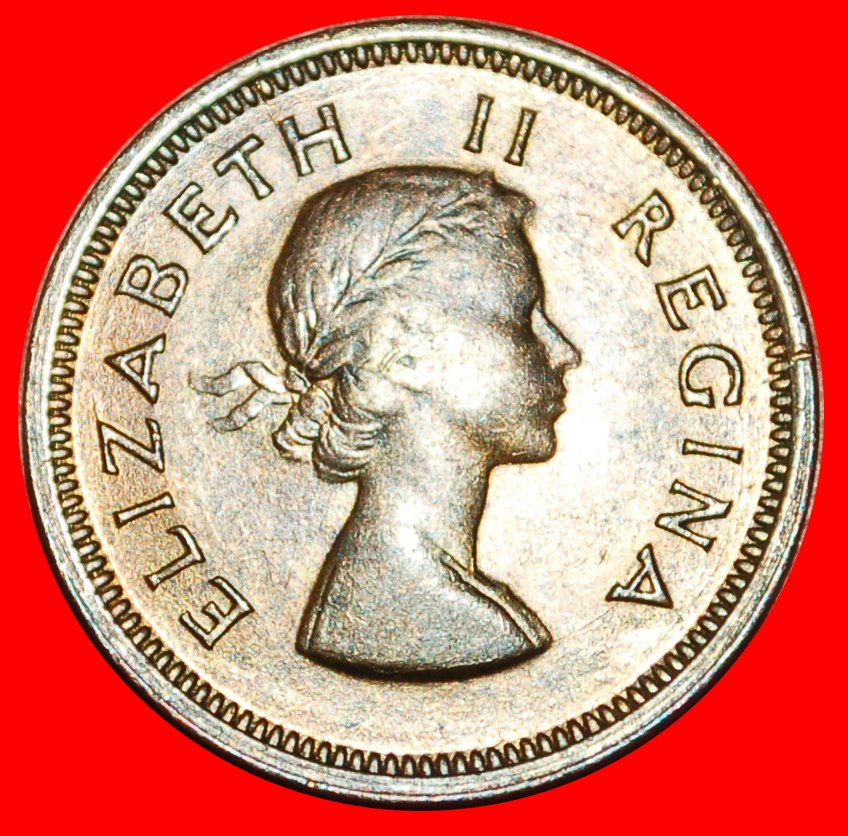  ~ VÖGEL (1953-1960): SÜDAFRIKA ★ 1/4 PENNY 1955! ELISABETH II. (1953-2022)★OHNE VORBEHALT!   