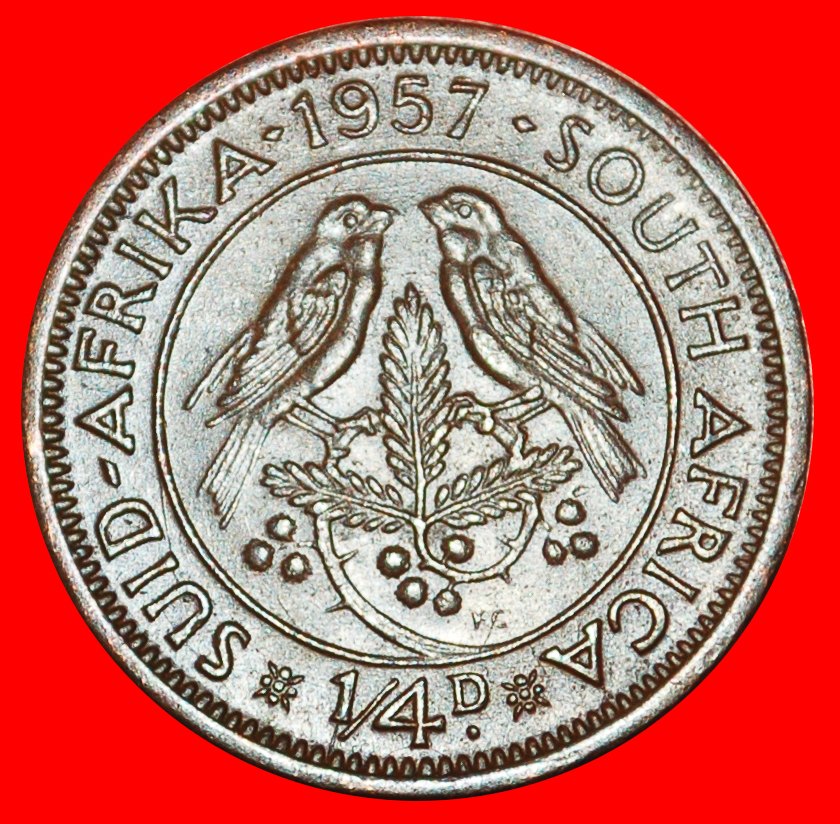  ~ VÖGEL (1953-1960): SÜDAFRIKA ★ 1/4 PENNY 1957! ELISABETH II. (1953-2022)★OHNE VORBEHALT!   