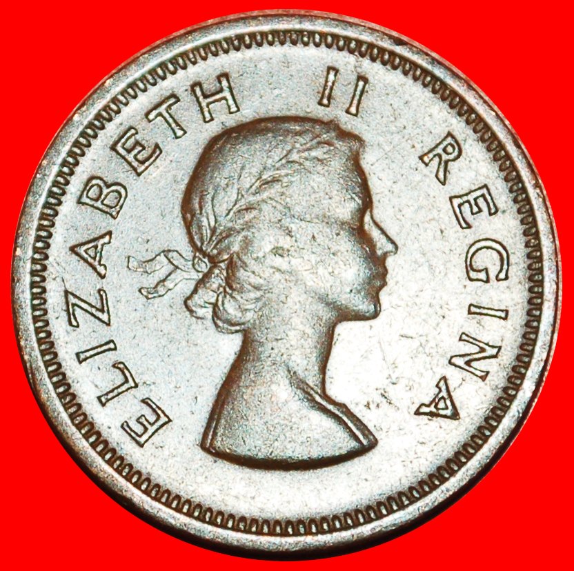  ~ BIRDS (1953-1960): SOUTH AFRICA ★ 1/4 PENNY 1957! ELIZABETH II (1953-2022)★LOW START ★ NO RESERVE!   