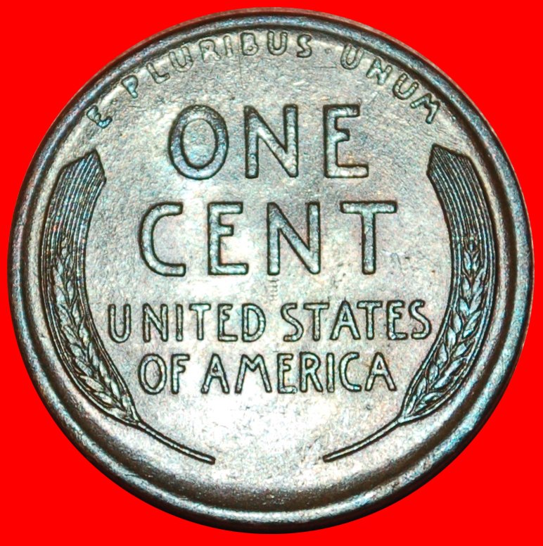  * WHEAT PENNY (1909-1958): USA ★ 1 CENT 1919! LINCOLN (1809-1865) ★LOW START ★ NO RESERVE!   