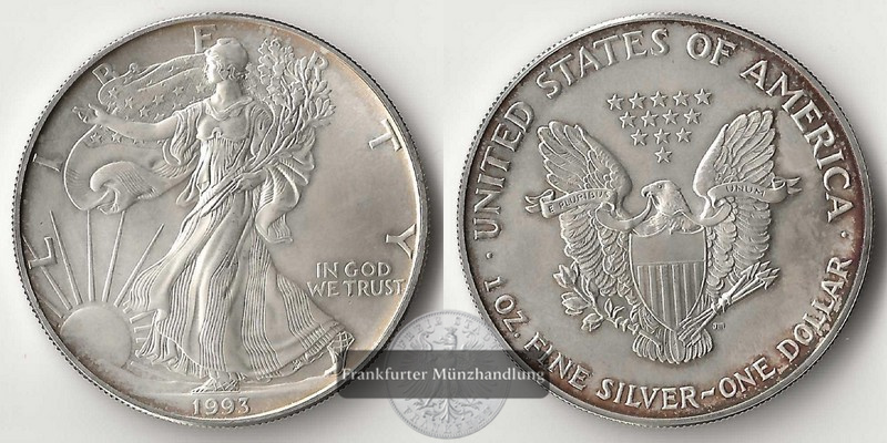  USA  1 Dollar  1993  American Eagle   FM-Frankfurt     Feinsilber: 31,1g   