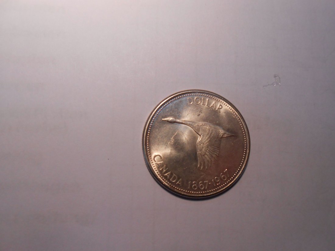  Kanada 1 Dollar 1967 Gedenkmünze Kanadische Wildgans   