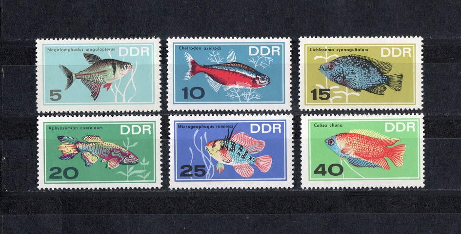  DDR 1966 Mi. 1221-1226 Kompl.-Satz **Postfrisch   