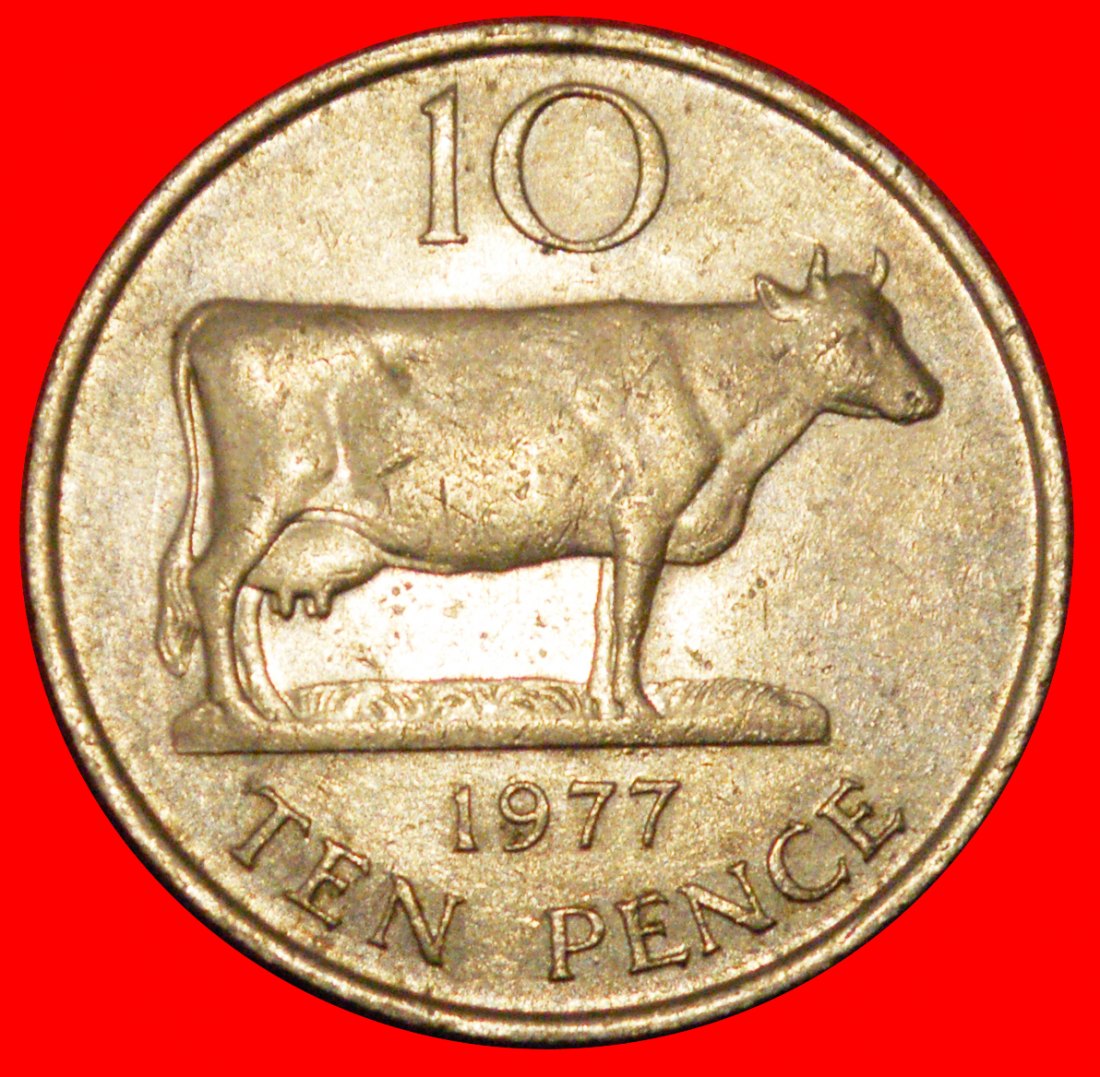 * GROSSBRITANNIEN KUH (1977-1984): GUERNSEY★10 PENCE 1977! ELISABETH II. (1953-2022)★OHNE VORBEHALT!