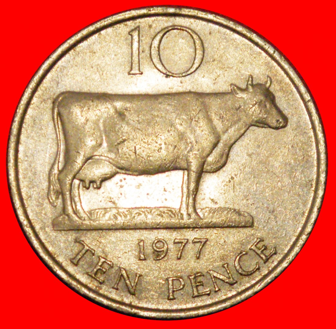  * GROSSBRITANNIEN KUH (1977-1984): GUERNSEY★10 PENCE 1977! ELISABETH II. (1953-2022)★OHNE VORBEHALT!   