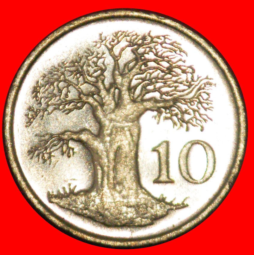 * GROSSBRITANNIEN (1980-1999): SIMBABWE ★ 10 CENT 1994 BAOBAB VZGL STEMPELGLANZ!★OHNE VORBEHALT!