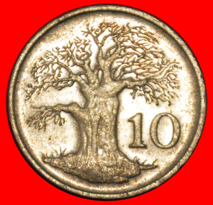 * GROSSBRITANNIEN (1980-1999): SIMBABWE ★ 10 CENT 1997 BAOBAB!★OHNE VORBEHALT!
