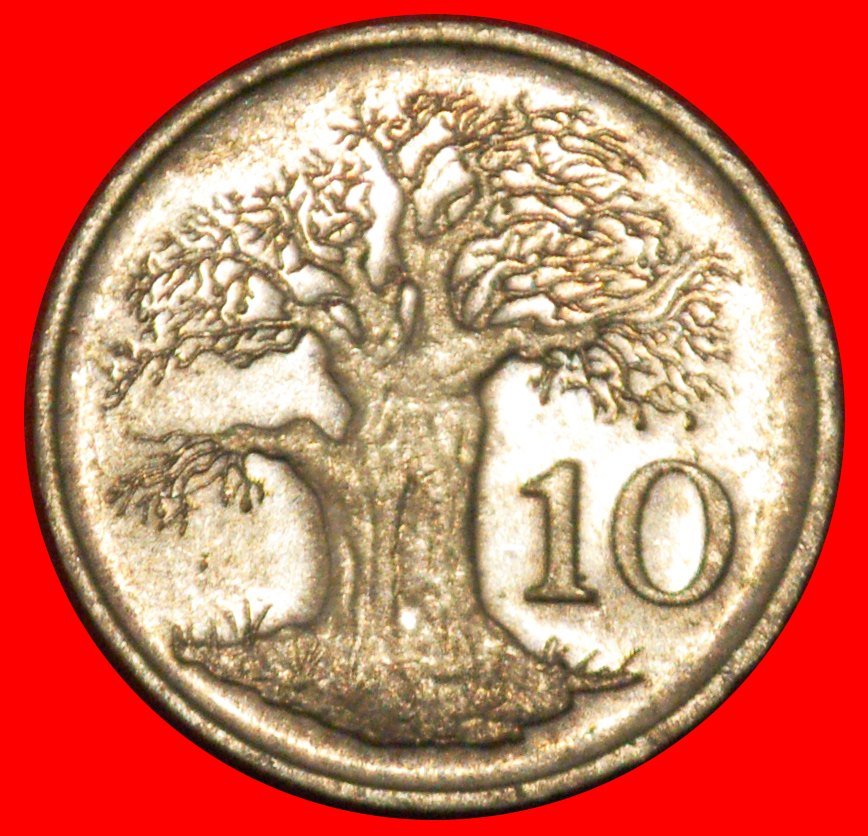  * GREAT BRITAIN (1980-1999): ZIMBABWE ★ 10 CENTS 1997 BAOBAB!★LOW START ★ NO RESERVE!   