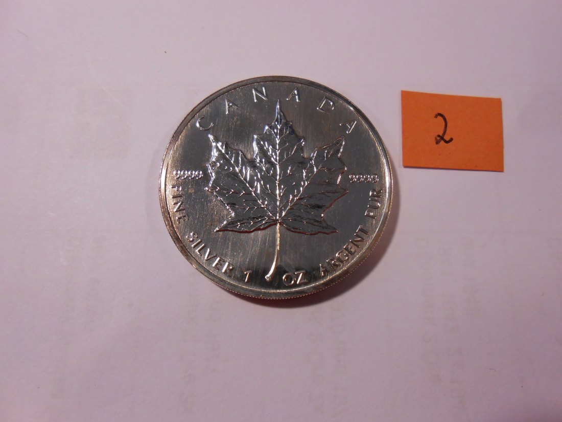  Kanada 5 Dollar 1991 1 Unze Silbermünze Maple Leaf (2)   