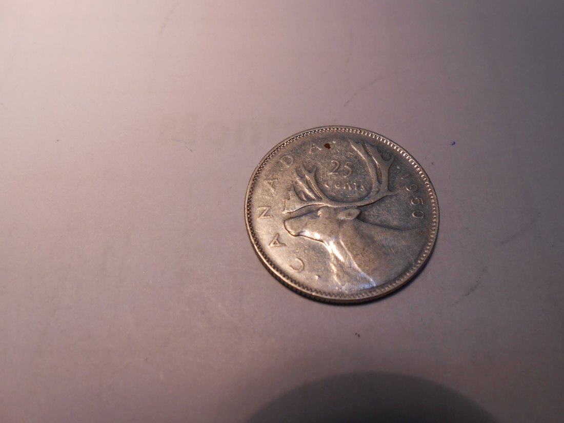  Kanada 25 Cent 1950 Silber 800   