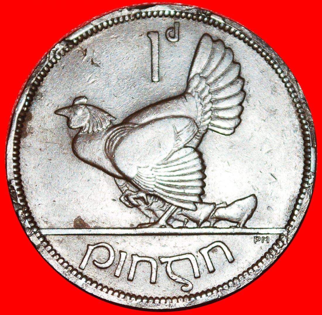  * GREAT BRITAIN (1928-1937): IRELAND ★ 1 PENNY 1928 HEN & 4 CHICKS!★LOW START ★ NO RESERVE!   