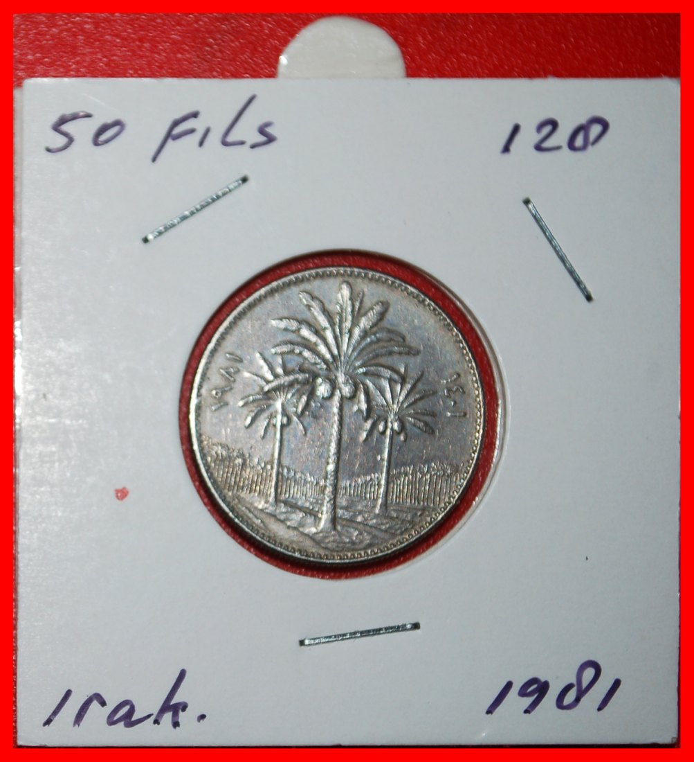  * CANADA (1969-1990): IRAQ★ 50 FILS 1401-1981 HUSSEIN (1979-2003)! IN HOLDER★LOW START ★ NO RESERVE!   