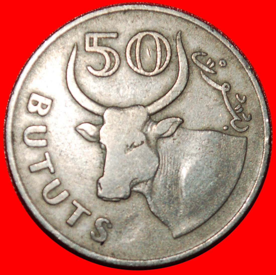  * STIER: GAMBIA ★ 50 BUTUTS 1971! OHNE VORBEHALT!   