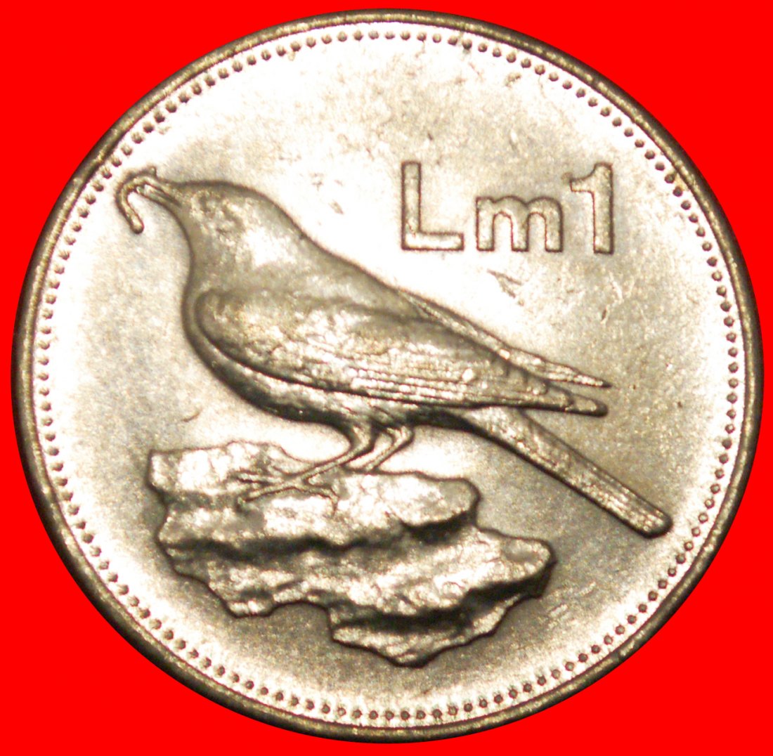  * BIRD (1991-2007): MALTA ★ 1 POUND 1991! MINT LUSTRE! ★LOW START ★ NO RESERVE!   