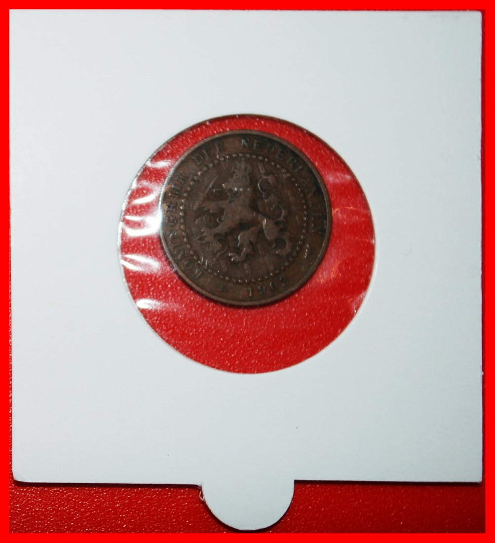  * RAMPANT LION (1902-1907): NETHERLANDS ★1 CENT 1902 CADUCEUS FAR! IN HOLDER★LOW START ★ NO RESERVE!   