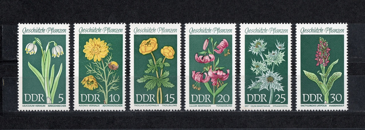  DDR 1969 Mi 1456-1461 Kompl.-Satz **Postfrisch/ Mi. 4,20 €   