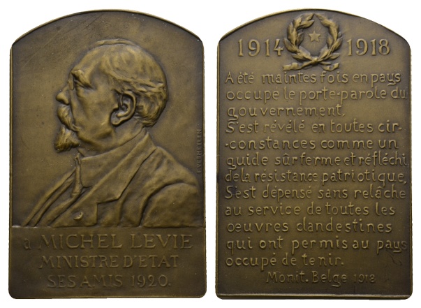  Belgien; Bronze Plakette 1920; 71,48 g; H x B 67,27 x 45,89 mm   