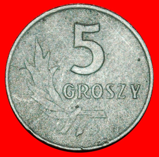 Ⰶ SOZIALISTISCHE STERNE AUF ADLER (1958-1972): POLEN ★ 5 GROSHEN 1961! ★OHNE VORBEHALT!
