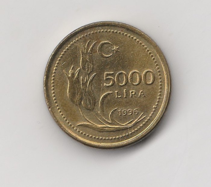  5000 Lira Türkei 1996 (M781)   