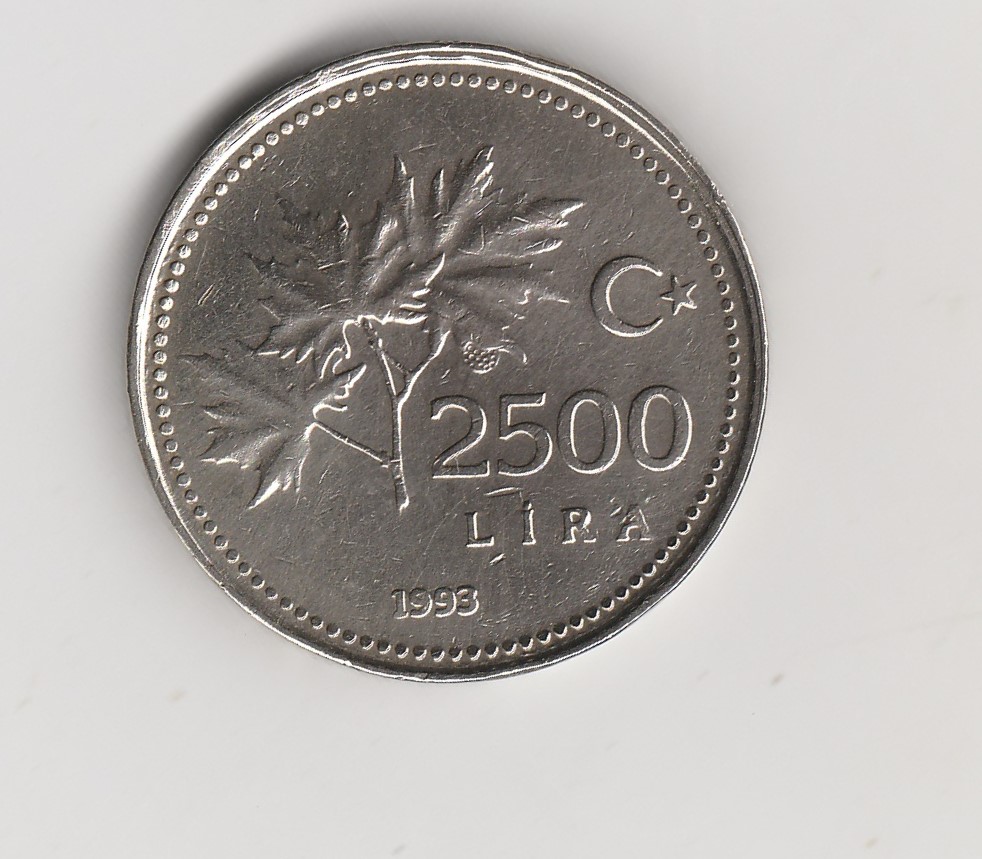  2500 Lira Türkei 1993 (M784)   