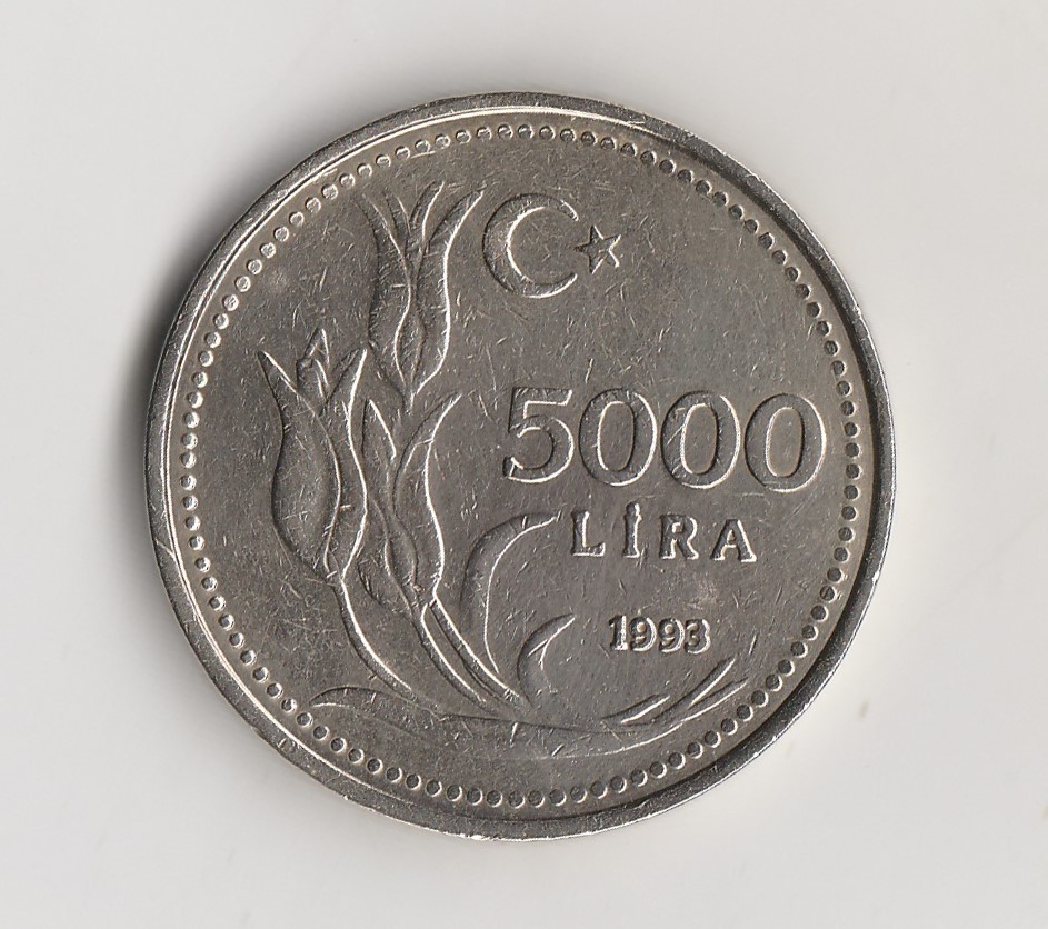  5000 Lira Türkei 1993 (M785)   